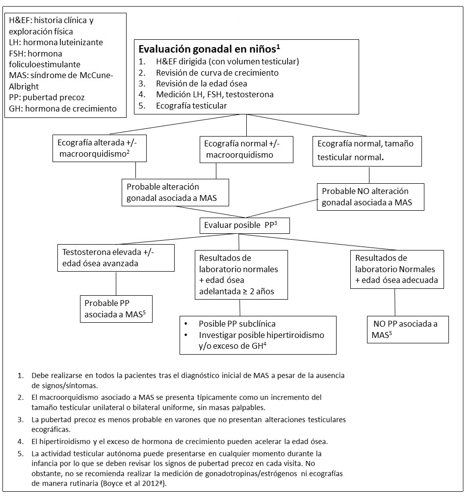 Pruebas y seguimiento recomendado para la evaluación gonadal de niños con Displasia Fibrosa/Síndrome de McCune-Albright