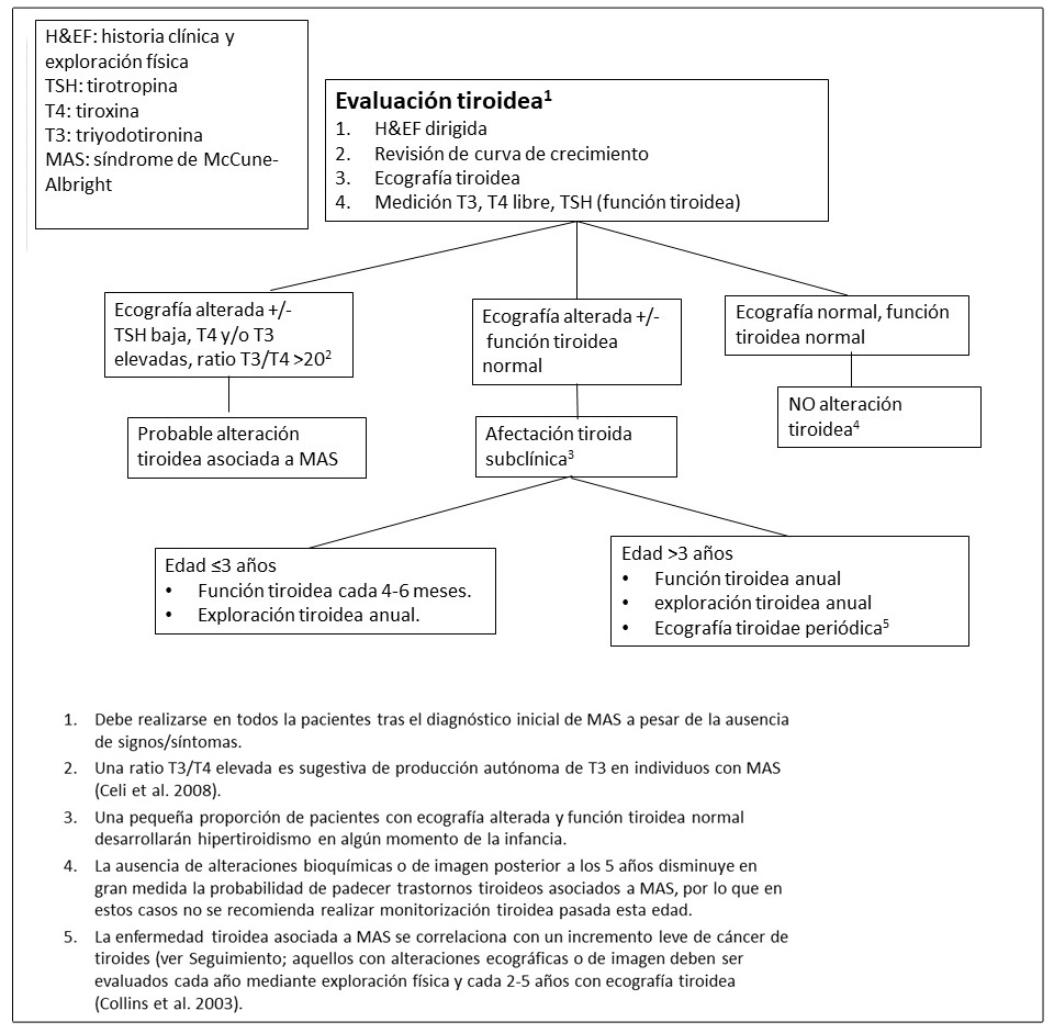 Pruebas y seguimiento recomendado para la evaluación de alteraciones tiroideas en pacientes con Displasia Fibrosa/Síndrome de McCune-Albright